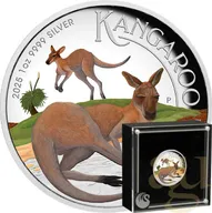 1 Unze Silbermünze Australien Känguru 2025 - polierte Platte - High Relief - coloriert
