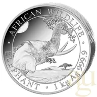 1 Kilogramm Somalia Elefant 2023 - regelbesteuert