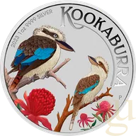1 Unze Silbermünze Australien Kookaburra 2023 WMF Berlin - coloriert