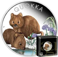 1 Unze Silbermünze Australien Quokka 2023 coloriert - polierte Platte