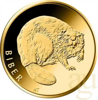 20 Euro Goldmünze Rückkehr der Wildtiere - Biber 2024 (D)