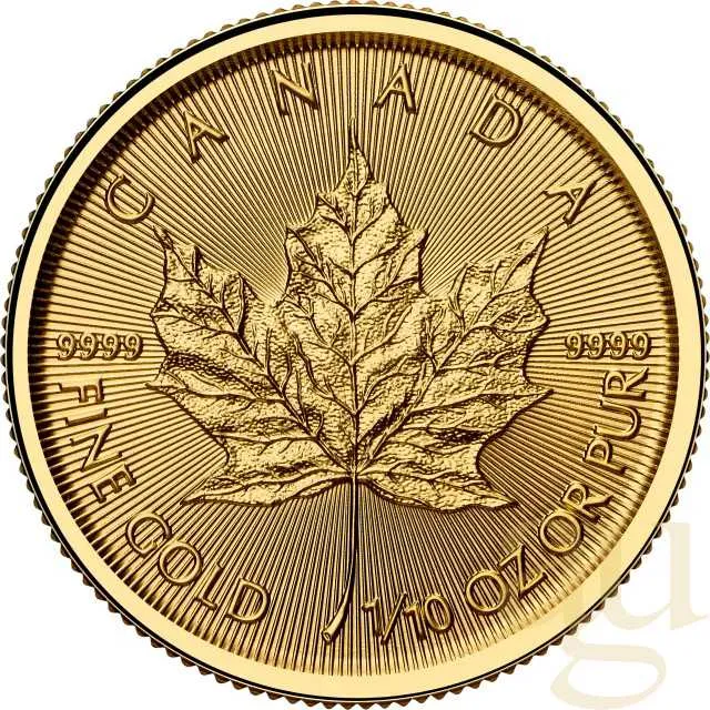 1/10 Unze Goldmünze Maple Leaf 2025