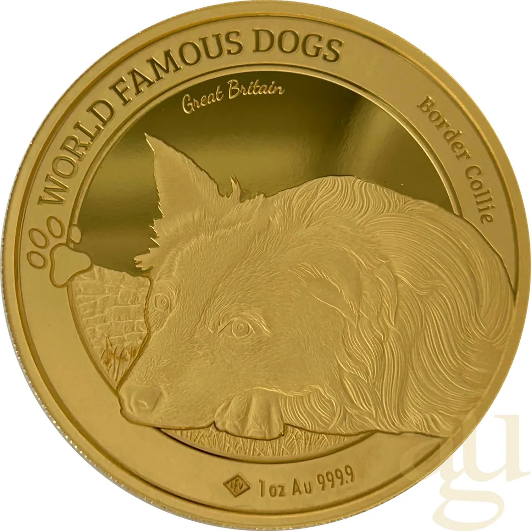 1 Unze Goldmünze World Famous Dogs - Border Collie 2025