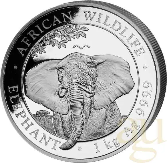 1 Kilogramm Silbermünze Somalia Elefant 2021