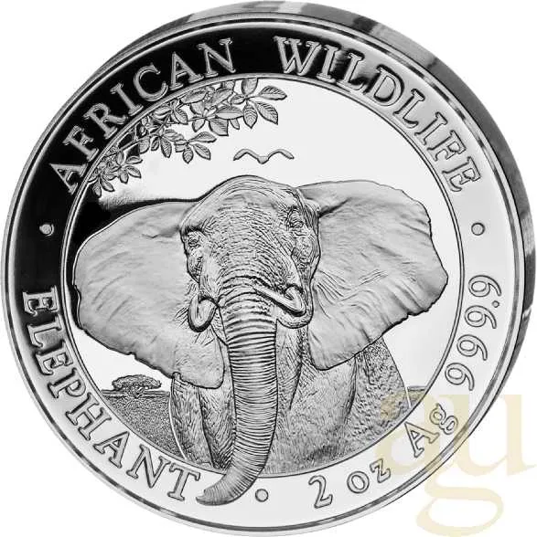 2 Unzen Silbermünze Somalia Elefant 2021