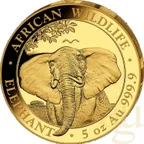 5 Unzen Goldmünze Somalia Elefant 2021 - polierte Platte
