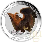 1 Unze Silbermünze Australien Wedge Tailed Eagle 2025 coloriert - Coincard