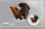 1 Unze Silbermünze Australien Wedge Tailed Eagle 2025 coloriert - Coincard