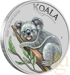 1 Unze Silbermünze Australien Koala 2025 ANDA Special coloriert - Coincard