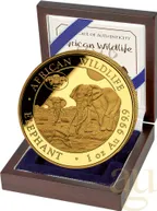 1 Unze Goldmünze Somalia Elefant 2026 - WMF Berlin