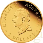 0,5 Gramm Goldmünze Australien Lunar III Pferd 2026 - polierte Platte