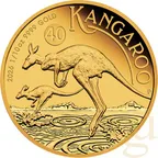 1/10 Unze Goldmünze Australien Känguru 2026 - polierte Platte