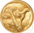 2 Unzen Goldmünze Südafrika The African Range Gepard 2026 - High Relief
