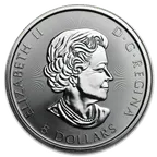 1,25 Unze Silbermünze Kanada Bison 2015