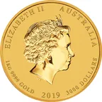 1 Kilogramm Goldmünze Australien Lunar II Schwein 2019