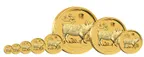 1 Unze Goldmünze Australien Lunar II Schwein 2019