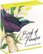 1 Unze Silbermünze Australien Birds of Paradise - Victoria Paradiesvogel 2019 polierte Platte