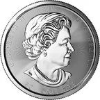 10 Unzen Silbermünze Kanada Magnificent Maple Leaf 2021