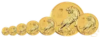 2 Unzen Goldmünze Australien Lunar III Tiger 2022