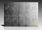 10 x 10g Silber Tafelbarren - Cook Islands CombiCoin