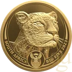 1 Unze Goldmünze Südafrika Big Five Leopard 2023 proof