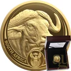 1/4 Unze Goldmünze Südafrika Big Five Büffel 2023 proof