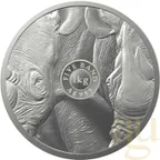 1 Kilogramm Silbermünze Südafrika Big Five Nashorn 2022 proof